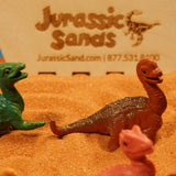 Baby Dino Sensory Bundle