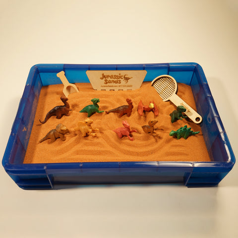 Baby Dino Sensory Bundle