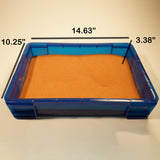 Baby Dino Sensory Bundle