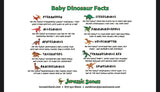 Baby Dino Sensory Bundle