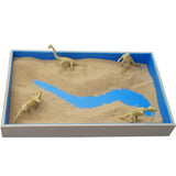 Jurassic Golden Cambrian Therapy Beach Sand