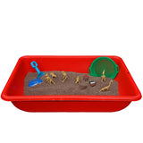 Jurassic RiverBed Sensory Sand - Jurassic Sands
 - 2